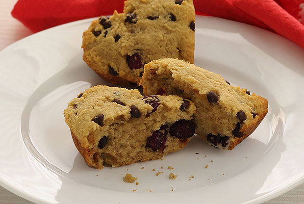 PaleoNewbie Cranberry Chocolate-Chip Scones (gluten-free)