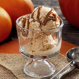 Pumpkin Pie Non-Diary Ice Cream Recipe