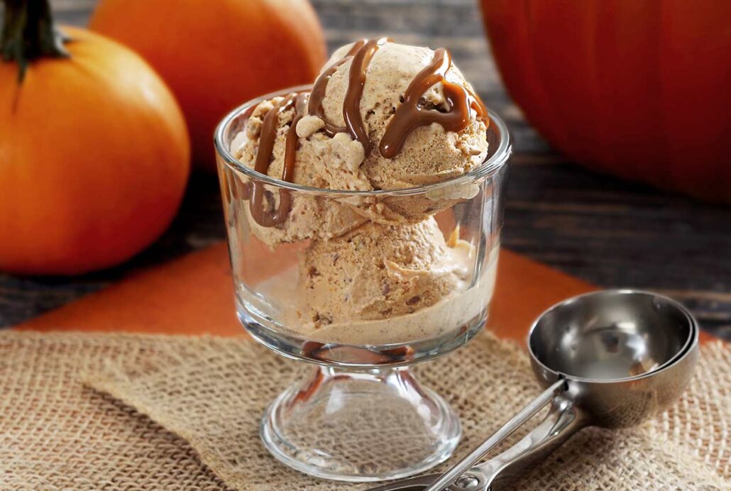 paleonewbie.com pumpkin ice cream recipe