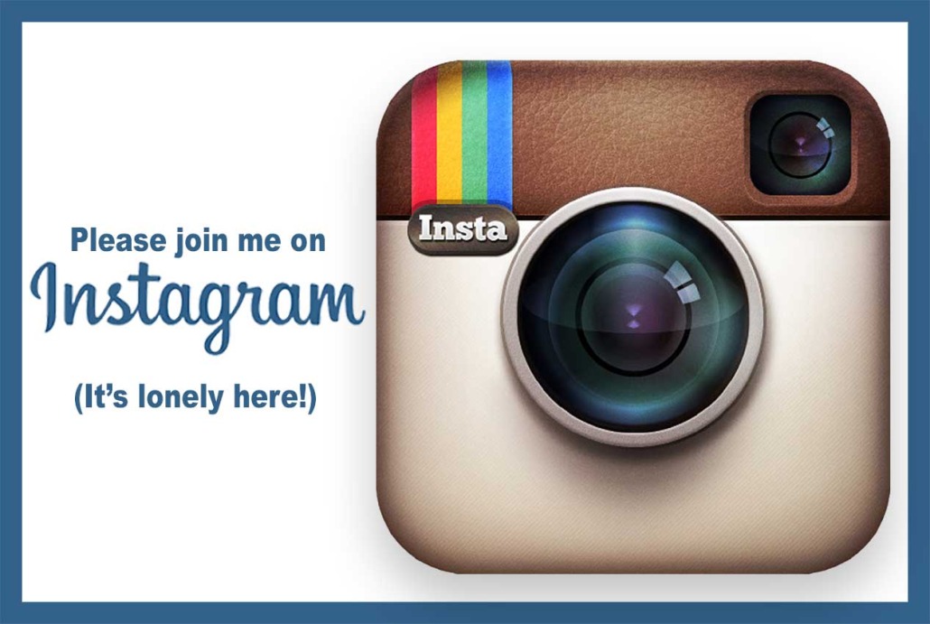 PaleoNewbie is now on Instagram