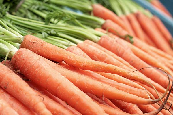 bunch of carrots