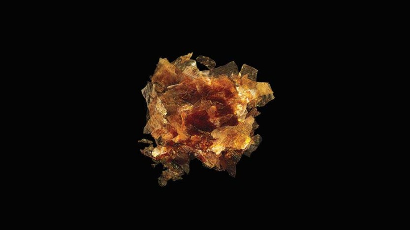 paleo-newbie-Shellac-food-additive-932x524