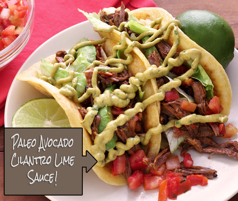 easy paleo recipe for spicy shredded slow cooked beef with avocado sauce